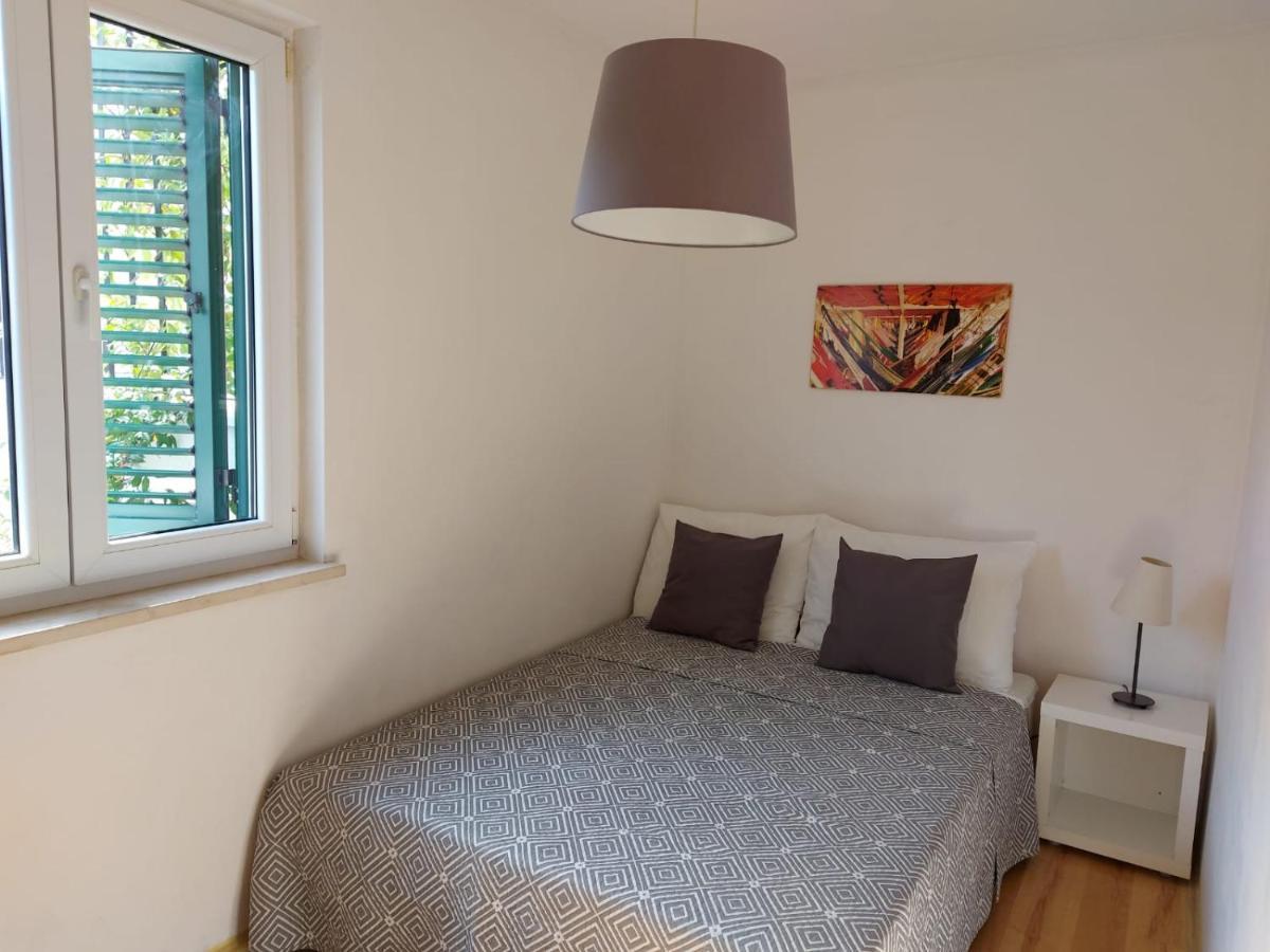 Apartment Coral Of